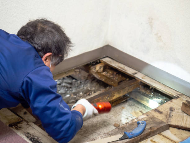 Best Mold Testing  in Ashland, KY
