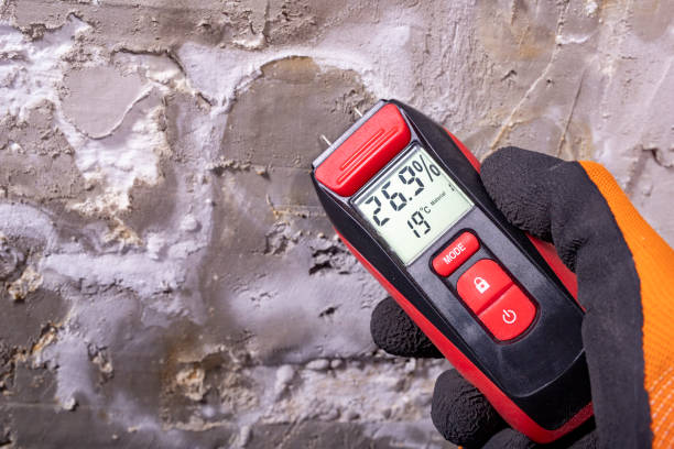 Best Toxic Mold Removal  in Ashland, KY