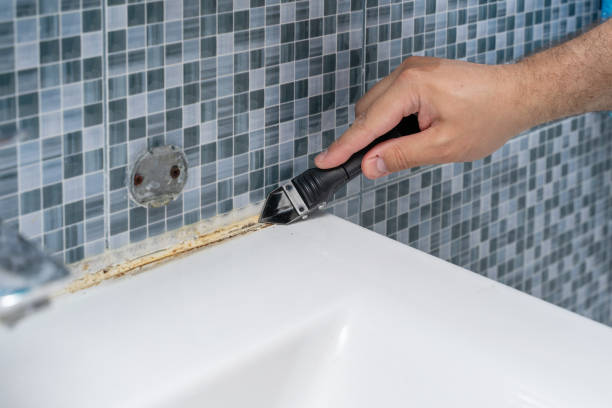 Best Mold Removal Company Near Me  in Ashland, KY