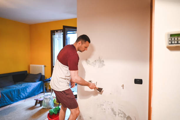 Best Home Mold Removal  in Ashland, KY